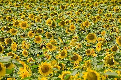 育碧《舞力全开2022》不支持次世代摄像头传感器